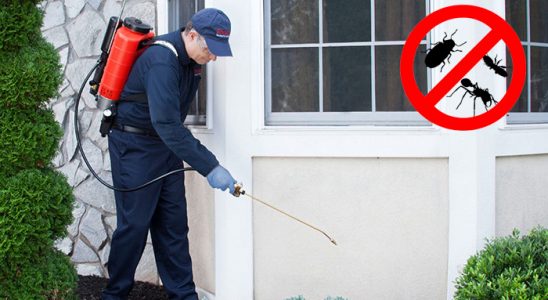 Kağıthane Böcek ve Haşere İlaçlama böcek ilaçlama ve haşere kontrolü — ilaclama-tr.com